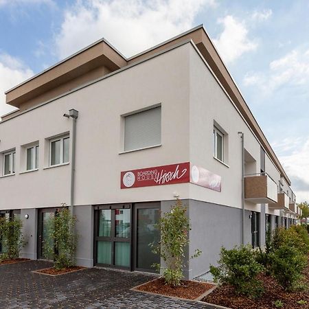 Boardinghouse Hirsch - Apartments In Kork Kehl Екстер'єр фото